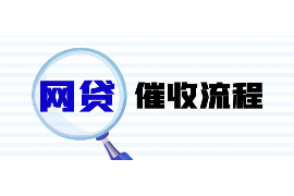 万宁遇到恶意拖欠？专业追讨公司帮您解决烦恼